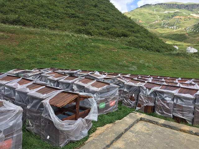 防腐木垃圾桶 防腐木垃圾桶